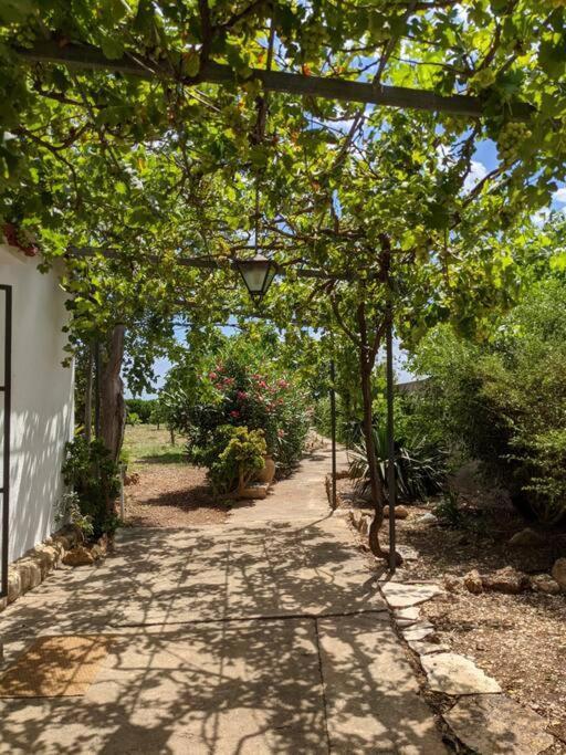 Casa Rural Frente Al Mar La Toscana Les Cases d'Alcanar Ngoại thất bức ảnh
